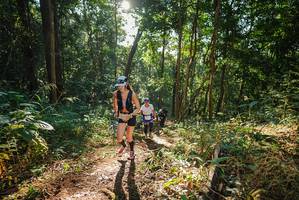 BIB: 
                            <button type="button" onclick="openModal(22548990)" class="btn btn-primary btn-sm float-right btn-popup" data-toggle="modal" data-target=".modal-high-quality">
                        <i class="fas fa-shopping-cart"></i> Add to Cart
                    </button>
                                            <button type="button" onclick="isThisMe(22548990, true)" class="btn btn-success btn-sm float-right btn-popup btn-isme hidden" data-toggle="tooltip" data-placement="bottom" title="นี่คือรูปของคุณใช่ไหม คลิกที่นี่เพื่อเอาเข้าอัลบั้ม">
                        <i class="fas fa-plus"></i> Add to album
                    </button>
                    <button type="button" onclick="isThisMe(22548990, false)" class="btn btn-warning btn-sm float-right btn-popup btn-isnotme hidden">
                        <i class="fas fa-ban"></i> Remove from album
                    </button>